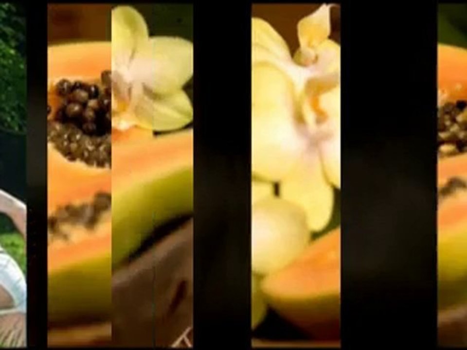 Combat Fitness| Nutrition