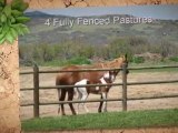 Horse Property For Sale in Colorado