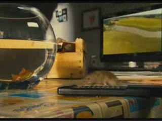 La vie sauvage des Animaux domestiques