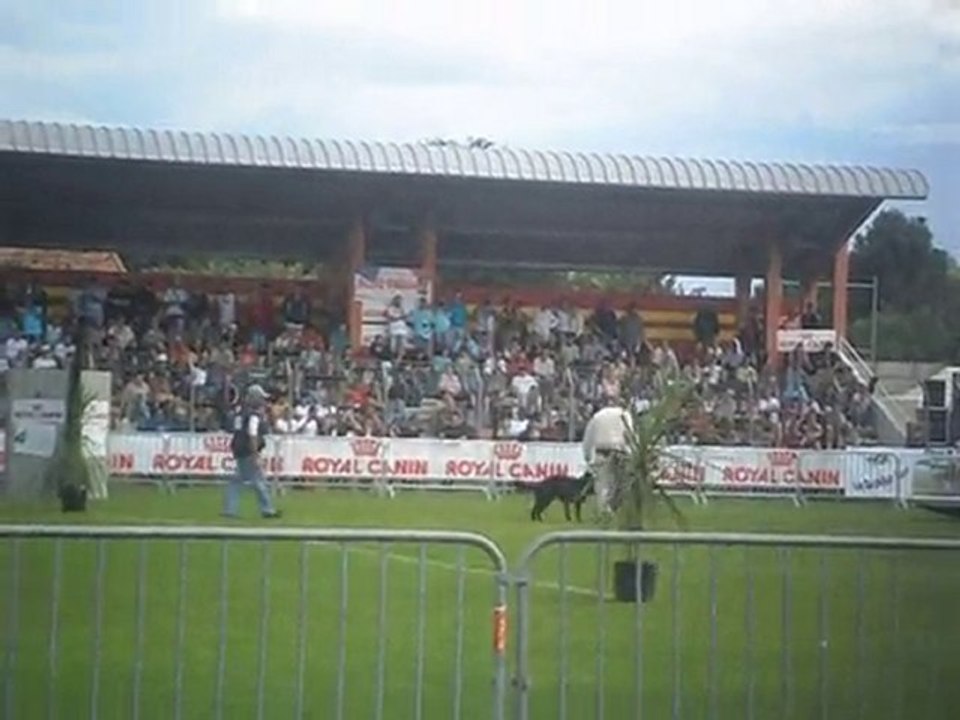 FINAL DE FRANCIA 2010