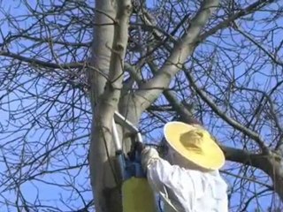 Dezodoryzacja Warszawa Tedan.Pl. Sprzedaz Srodków ...