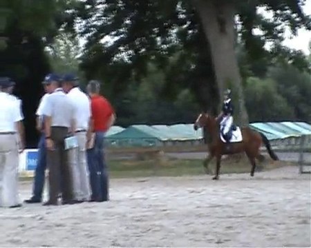 Tirana de Laye - CIR 3 ans Rosières 13/07/2010 - Saut monté