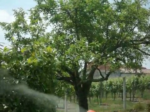 Carabine à air comprimé fabrication maison