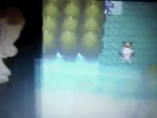 Hoot-Hoot shiny le 15 161 éme pokémons rencontrés