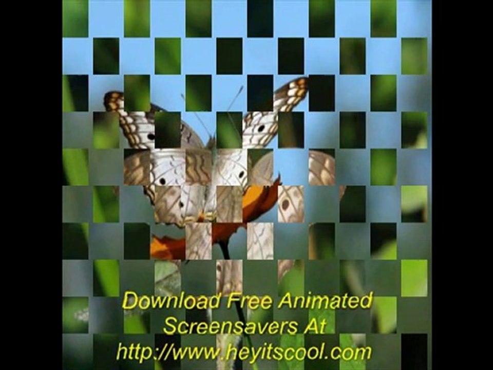 Download Free Animated Screensavers