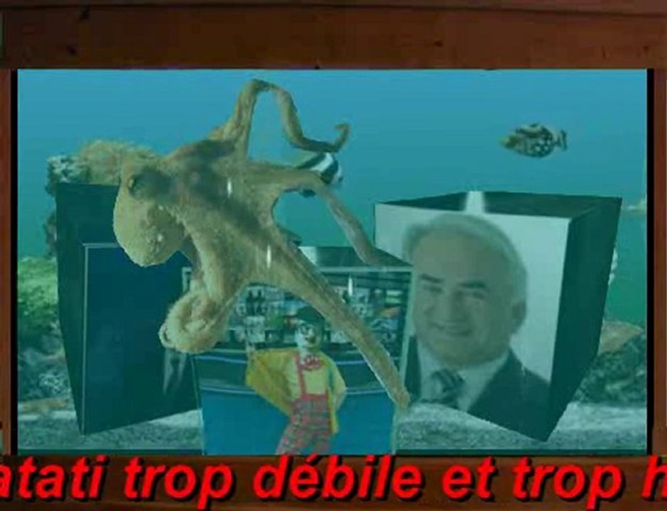 Polo le Poulpe