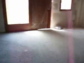 Mon appart le jour de la remise des clef