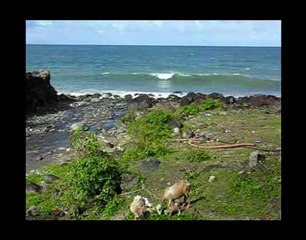 MARTINIQUE Macouba sur www.outre-mer.fr