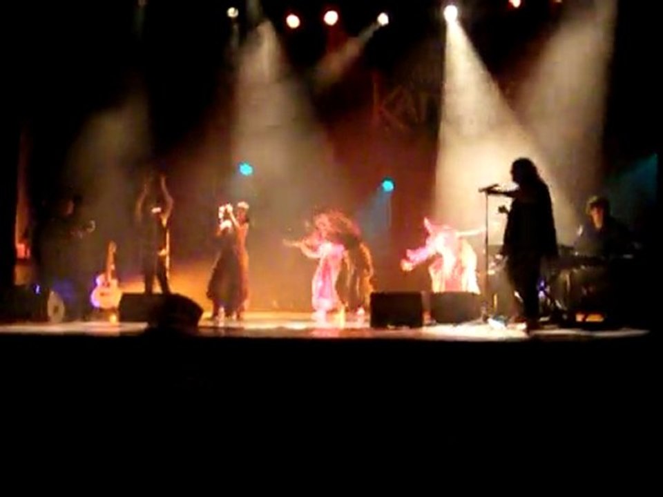 JLuc Roudaut le chant des tams tams