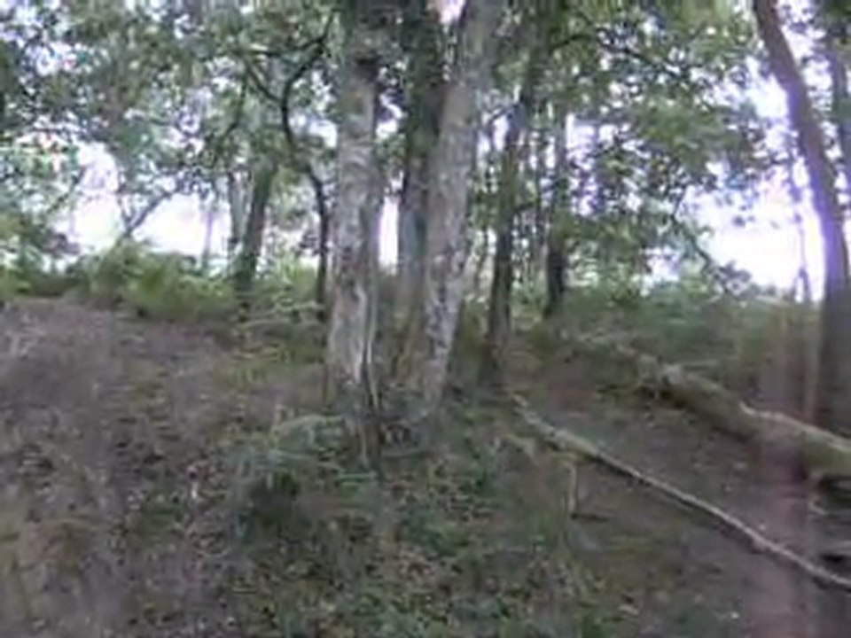 saut 14/07/2010