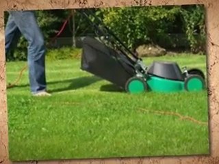 Wooden Storage Buildings