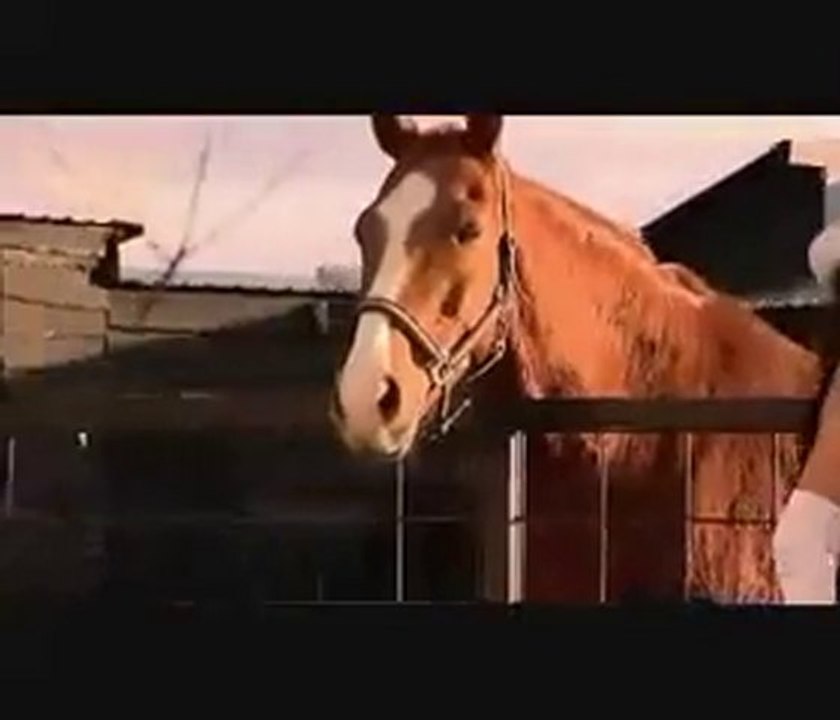 Amela Husovic - Sexy bomba  official video clip