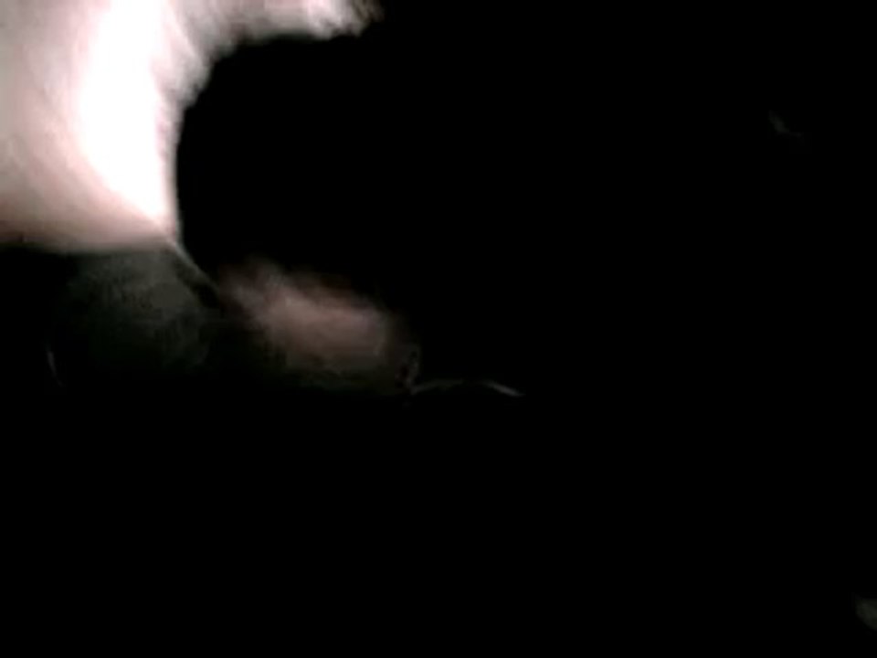 Cette soirée (Y)