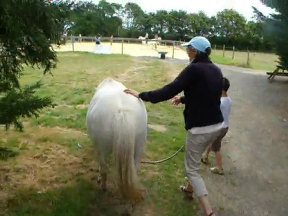 seance cheval avec valerie