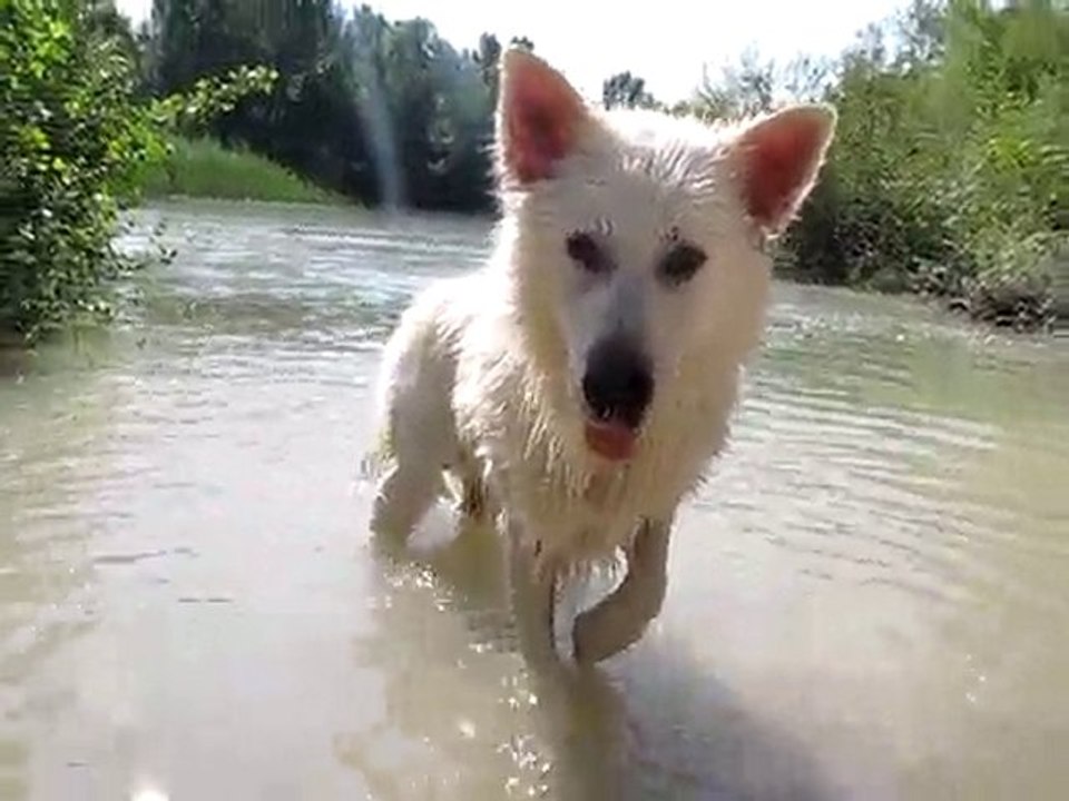 A l'eau!!!