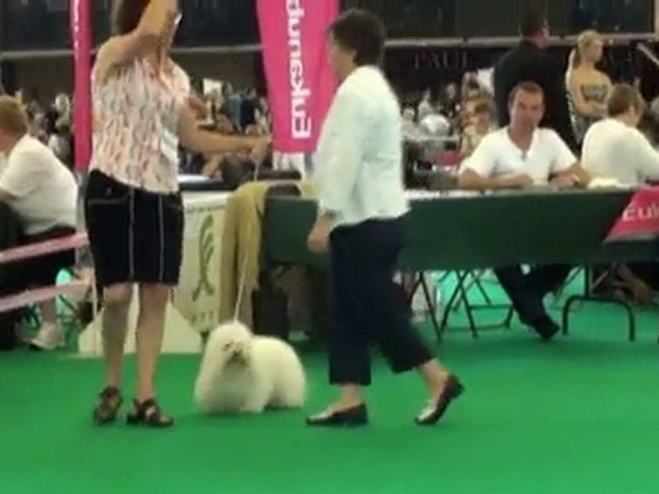 villepinte jeunes femelles