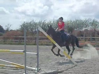 Paco & moi, reprise d'obstacle