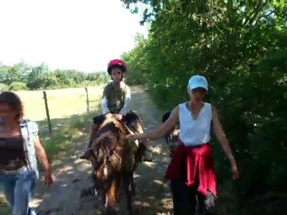 seance cheval 10 juillet 2010 2