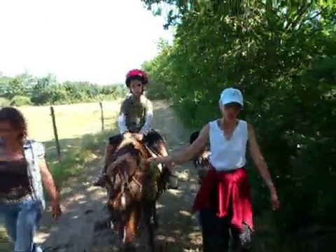 seance cheval 10 juillet 2010 2