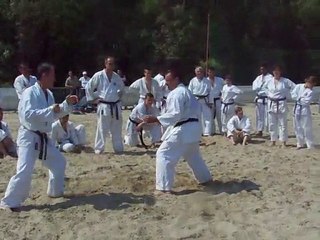 Gojushih'eau Brognard 2010 Bunkai