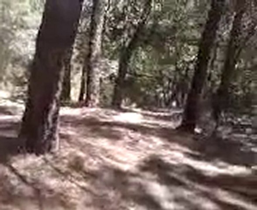 moto cross