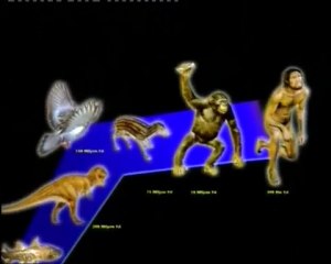 LA CHUTE DU DARWINISME ET LA CRÉATION - 1/4