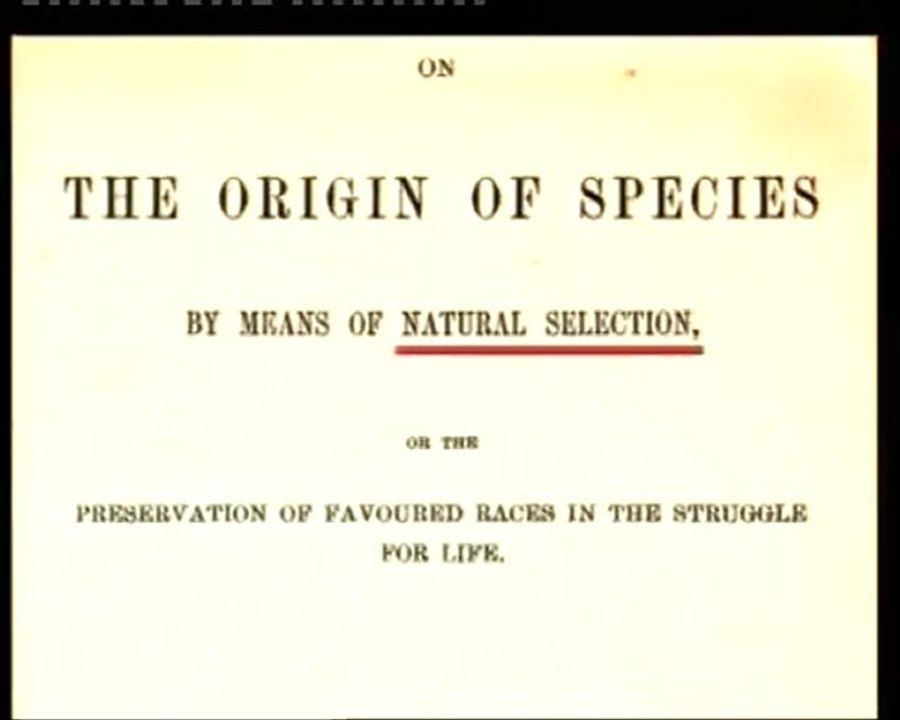 LA CHUTE DU DARWINISME ET LA CRÉATION - 2/4