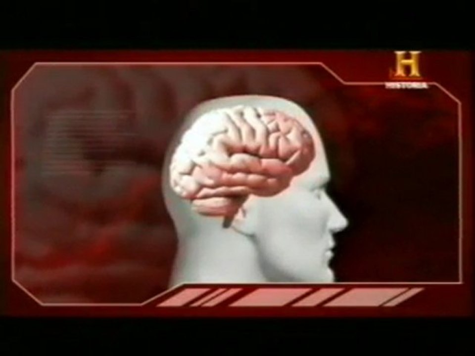 Cerebro y microondas: ¿Control mental?