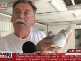 Alain, passionné de Pigeons Voyageurs
