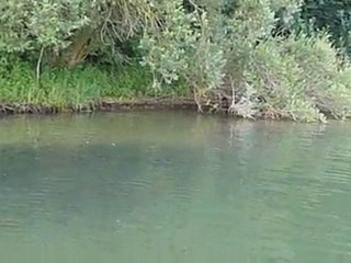 Silure 2m + à vue