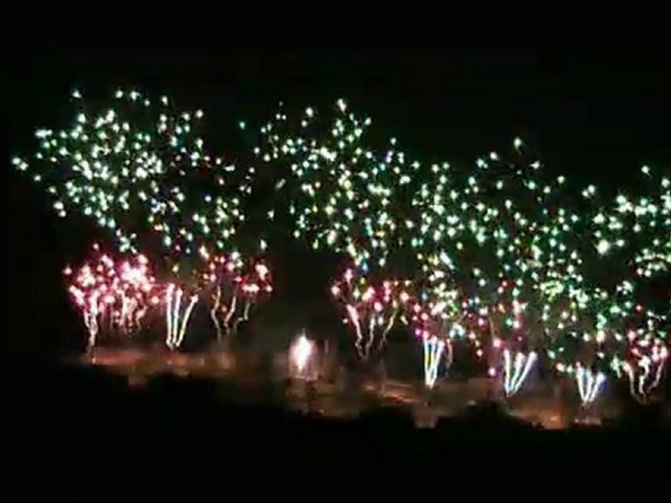 Feu d'artifice Carcassonne 2010