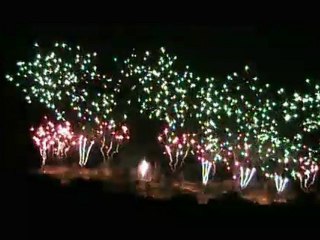 Feu d'artifice Carcassonne 2010