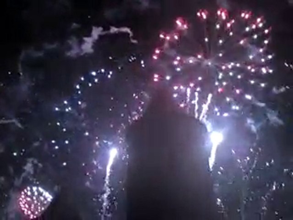 feu artifice cité 2010 #3