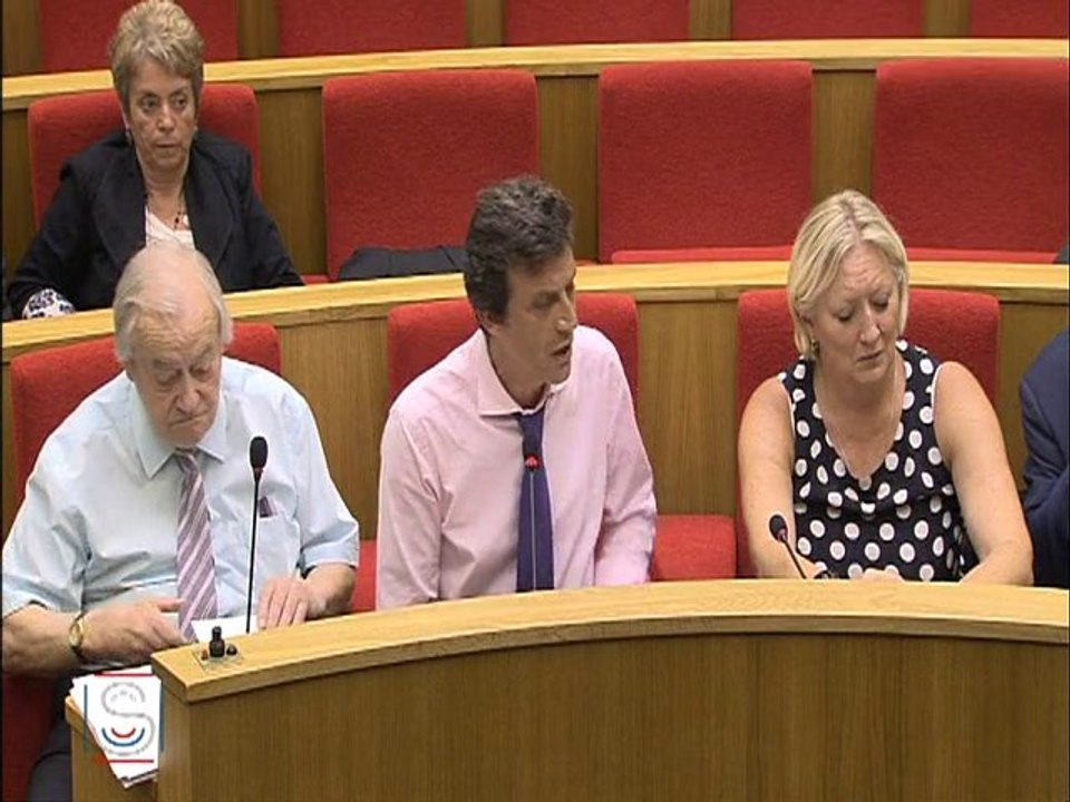 2010 07 12 audition de R.Pfimlin intervention de D.Assouline
