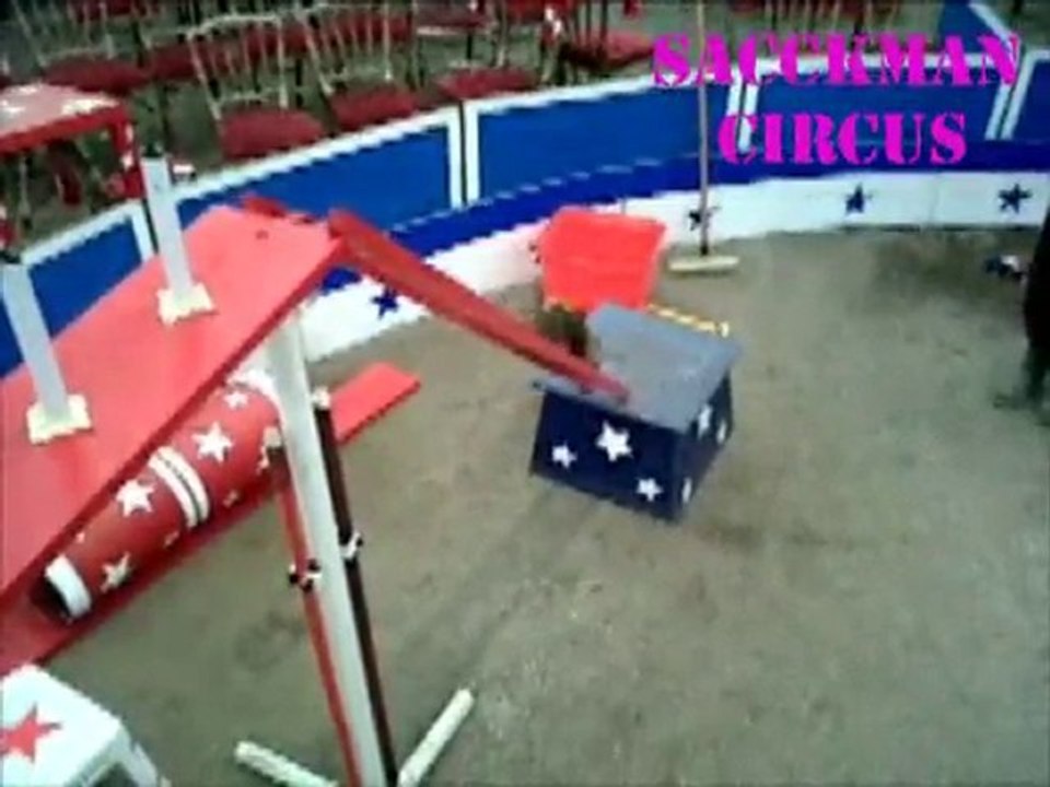 Le slalom vu d'en haut