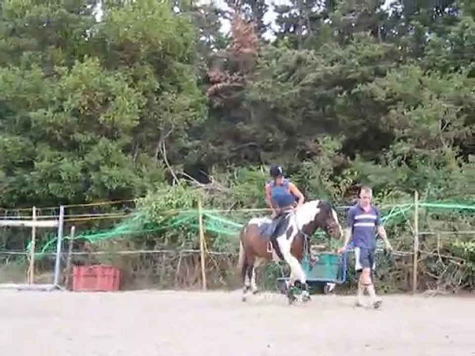 rainbow 030