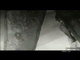 Delerium- Flowers Become Screens (return mix edit)