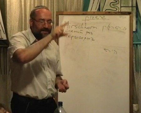 Сравнительное Языкознание #2 (3/7)