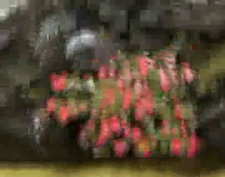 REUNION Plaine des Palmistes sur outre-mer.fr