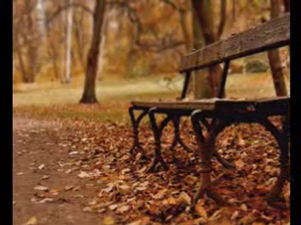 Bu Aşk - Suzan Kuran