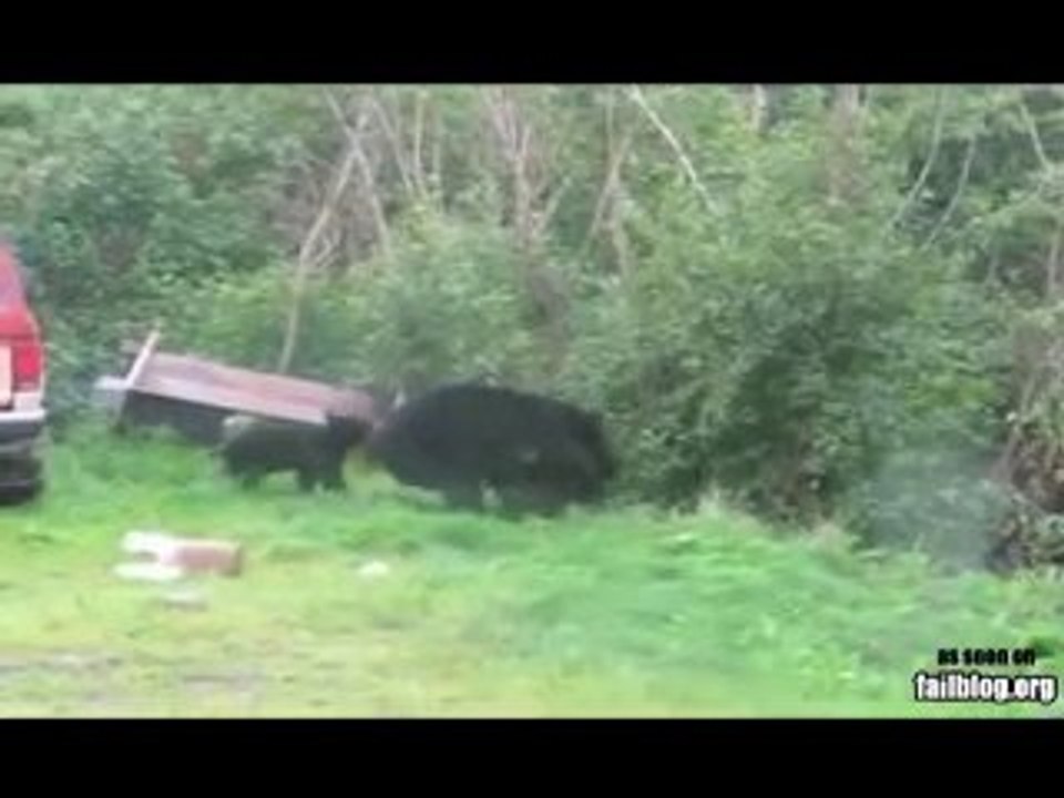 Mama Bear WIN