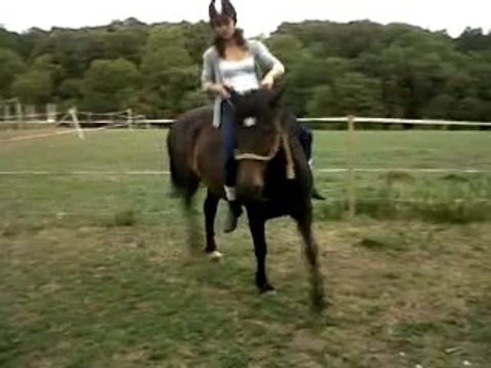 VID 00043-20100728-2143.3GP