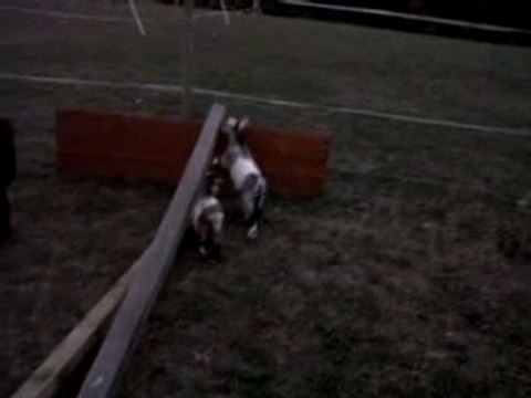 VID 00044-20100728-2157.3GP