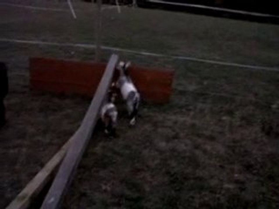 VID 00044-20100728-2157.3GP