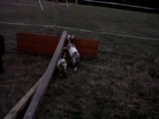 VID 00044-20100728-2157.3GP
