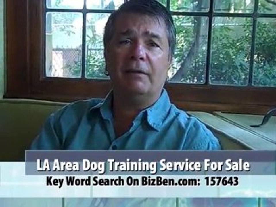 Dog Training Service For Sale