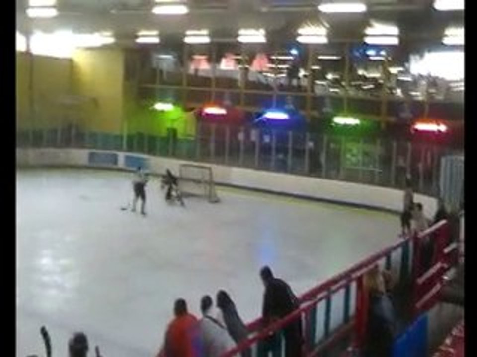 montage harfangs avignon