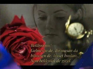 Seni Seviyorum