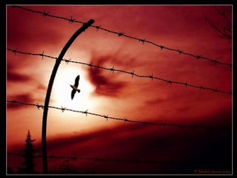 KAYIP YILDIZ SUSADIM (SEZEN AKSU KÜÇÜĞÜM)