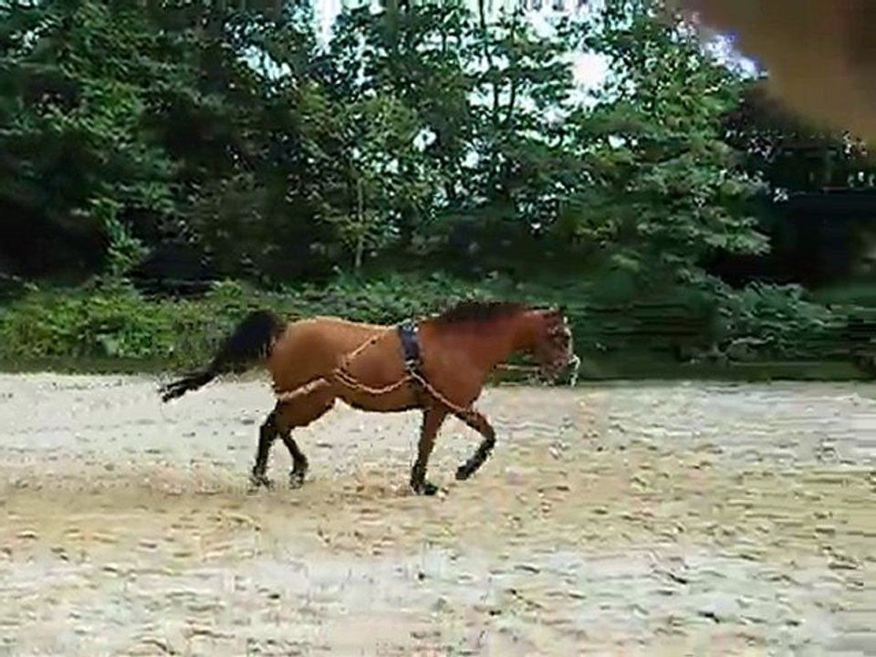 nozgwenn longe le 15-07-2010 (6)